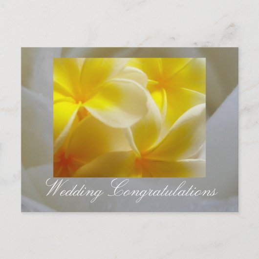 夏結婚の ポストカード (正面)