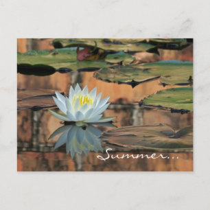 夏至のパーティの招待状の郵便はがき インビテーションポストカード