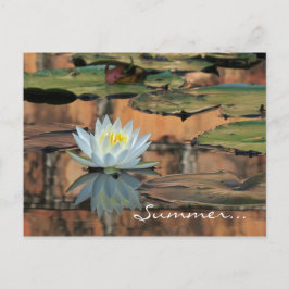 夏至のパーティの招待状の郵便はがき インビテーションポストカード