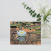 夏至のパーティの招待状の郵便はがき インビテーションポストカード (スタンド正面)