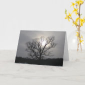 夏至の太陽 I 夏至の挨拶 カード (黄色い花)