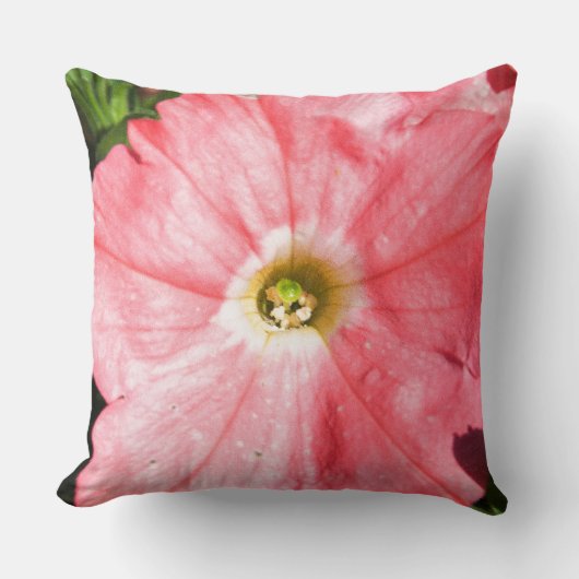 夏花 クッション (正面)