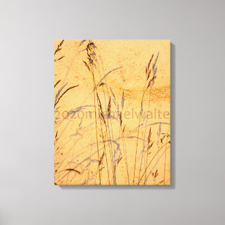 夏草と影はがきポスターアクリル キャンバスプリント