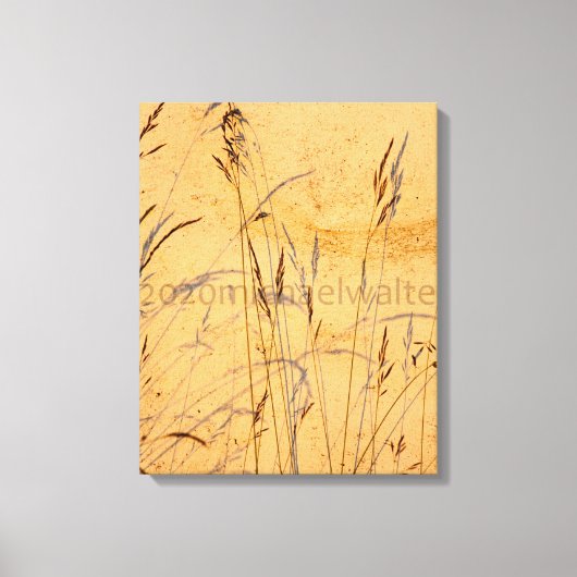 夏草と影はがきポスターアクリル キャンバスプリント (正面)