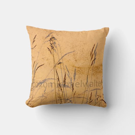 夏草と影はがきポスターアクリル クッション (正面)