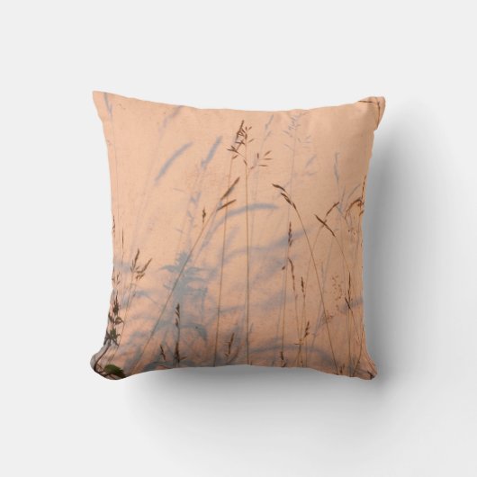 夏草と影はがきポスターアクリル クッション (正面)