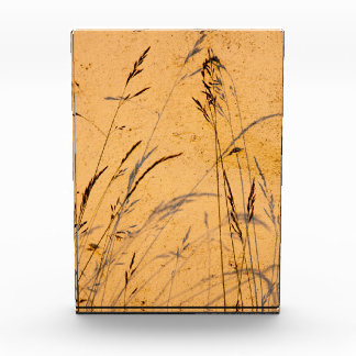 夏草と影はがきポスターアクリル フォトブロック