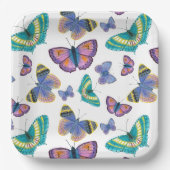 夏蝶 ペーパープレート (正面)