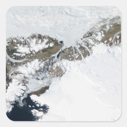 夏雪解け スクエアシール (正面)