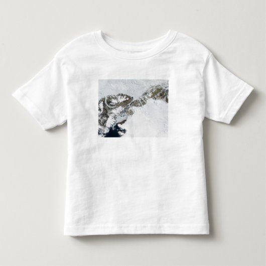 夏雪解け トドラーTシャツ (正面)