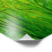 夏鮮やか日の野草 フォトプリント            (角)