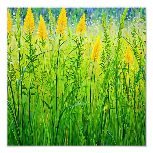 夏鮮やか日の野草 フォトプリント            (正面)