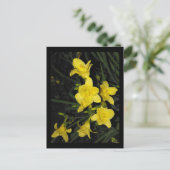 〜夏11〜 ポストカード (スタンド正面)