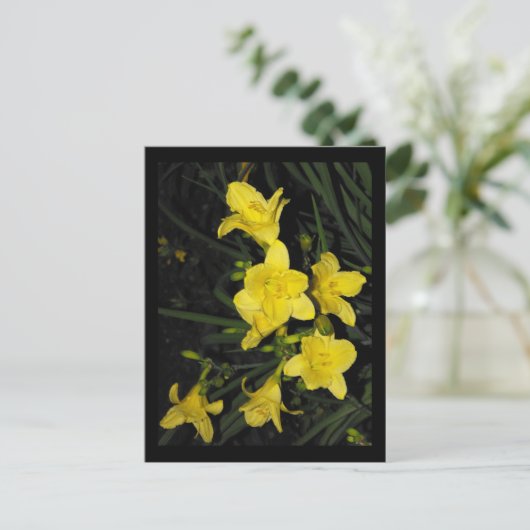 〜夏11〜 ポストカード (スタンド正面)