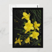 〜夏11〜 ポストカード (正面/裏面)