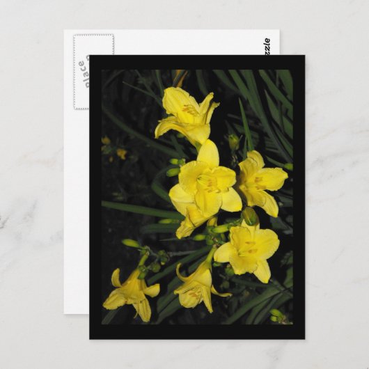 〜夏11〜 ポストカード (正面/裏面)