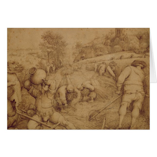 夏1568年 (正面横)