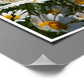 夏2006年 ポスター (角)