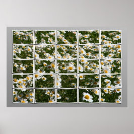 夏2006年 ポスター