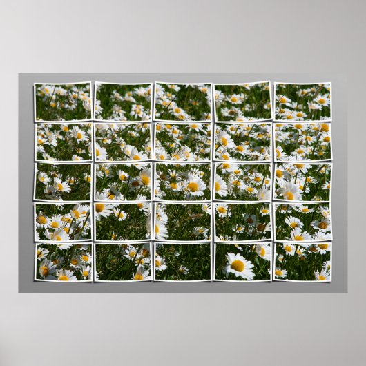 夏2006年 ポスター (正面)