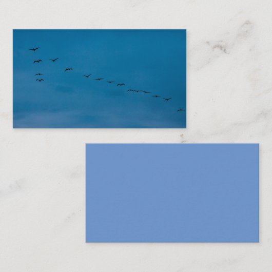 夏2019シーグルス食べ物を探している 名刺 (正面/裏面)