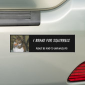 "夏"を特色にするリスのバンパーステッカー バンパーステッカー (車上)