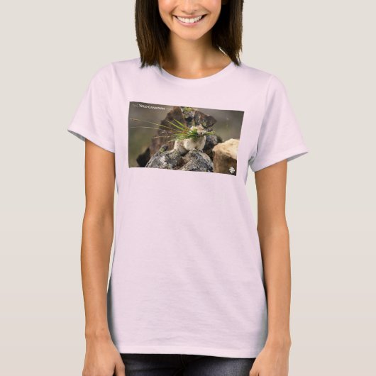 夏 – アメリカンピカ女子 Tシャツ (正面)