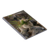 夏 – アメリカンピカ ノートブック (右側)