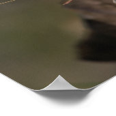 夏 – アメリカンピカ ポスター (角)