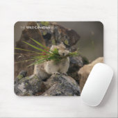 夏 – アメリカンピカ マウスパッド (マウス)