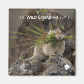 夏 – アメリカンピカ マグネット (正面)