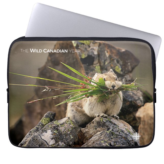 夏-アメリカンピカ ラップトップスリーブ (正面)