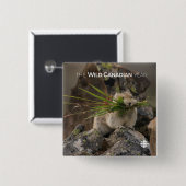 夏 – アメリカンピカ 缶バッジ (正面&裏面)