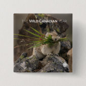 夏 – アメリカンピカ 缶バッジ (正面)