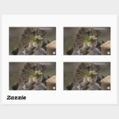 夏 – アメリカンピカ 長方形シール (シート)