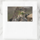 夏 – アメリカンピカ 長方形シール (バッグ)