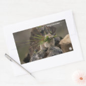 夏 – アメリカンピカ 長方形シール (封筒)