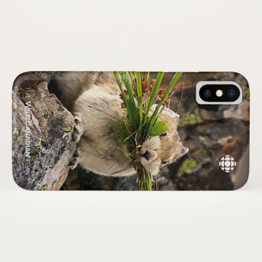 夏 – アメリカンピカ Case-Mate iPhoneケース (裏面(横))