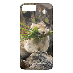 夏 – アメリカンピカ iPhone 8 PLUS/7 PLUSケース