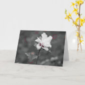 夏 カード (黄色い花)