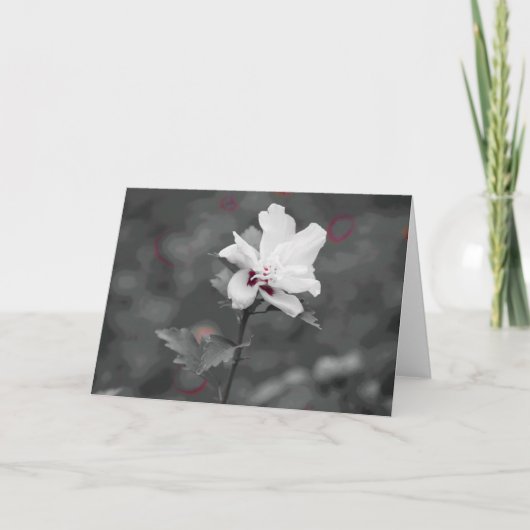 夏 カード (正面)