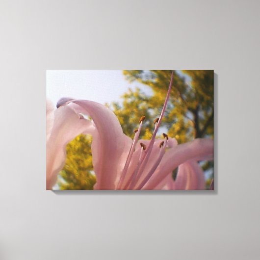 夏 キャンバスプリント (正面)