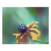 夏 フォトプリント            (正面)