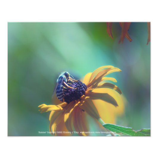 夏 フォトプリント            (正面)