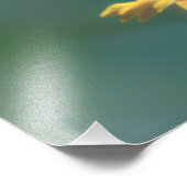 夏 フォトプリント            (角)