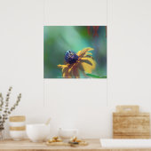 夏 ポスター (キッチン)