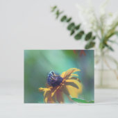 夏 ポストカード (スタンド正面)