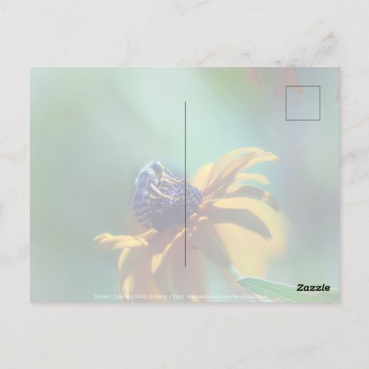 夏 ポストカード (裏面)