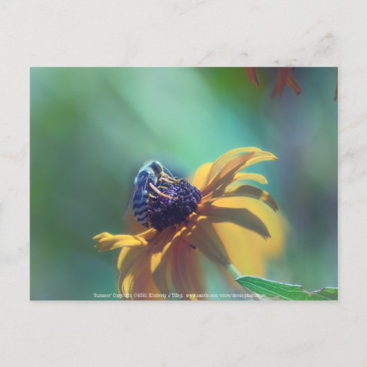 夏 ポストカード (正面)