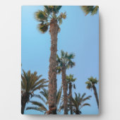夏 ヤシの木 フォトプラーク (正面)